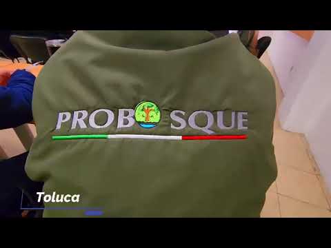 Elementos esenciales de la educación ambiental revelados