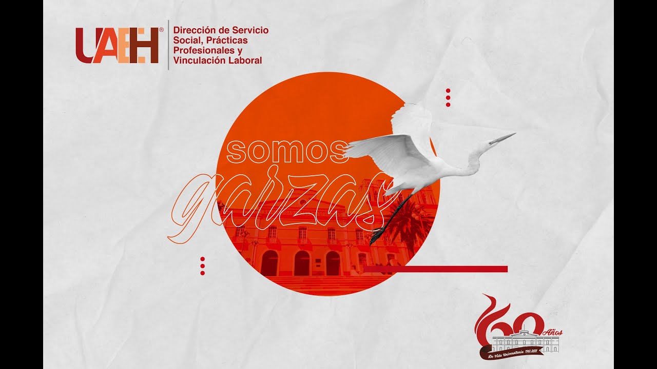 Escuela de veterinaria en Tulancingo Hidalgo