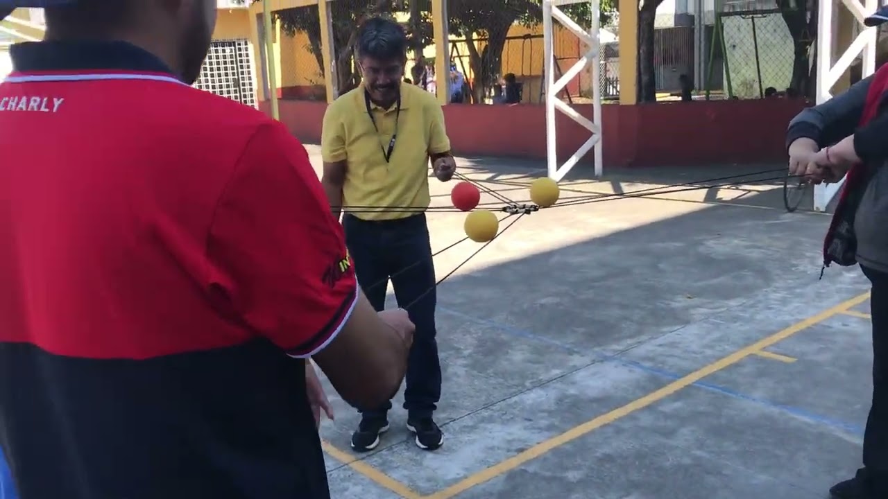 Escuelas de Educación Física en Veracruz