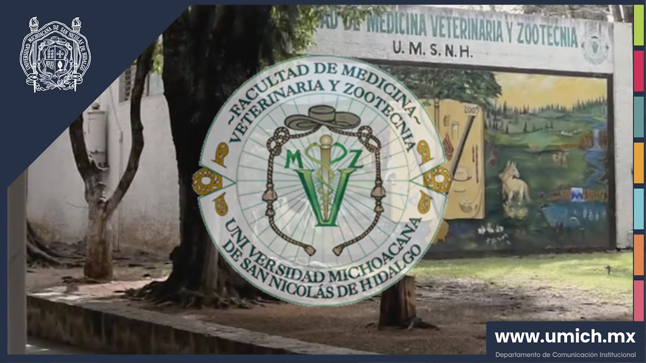 Escuelas de veterinaria en Cuernavaca Morelos