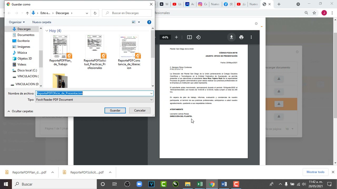 Guía de Prácticas Profesionales en CECYTE
