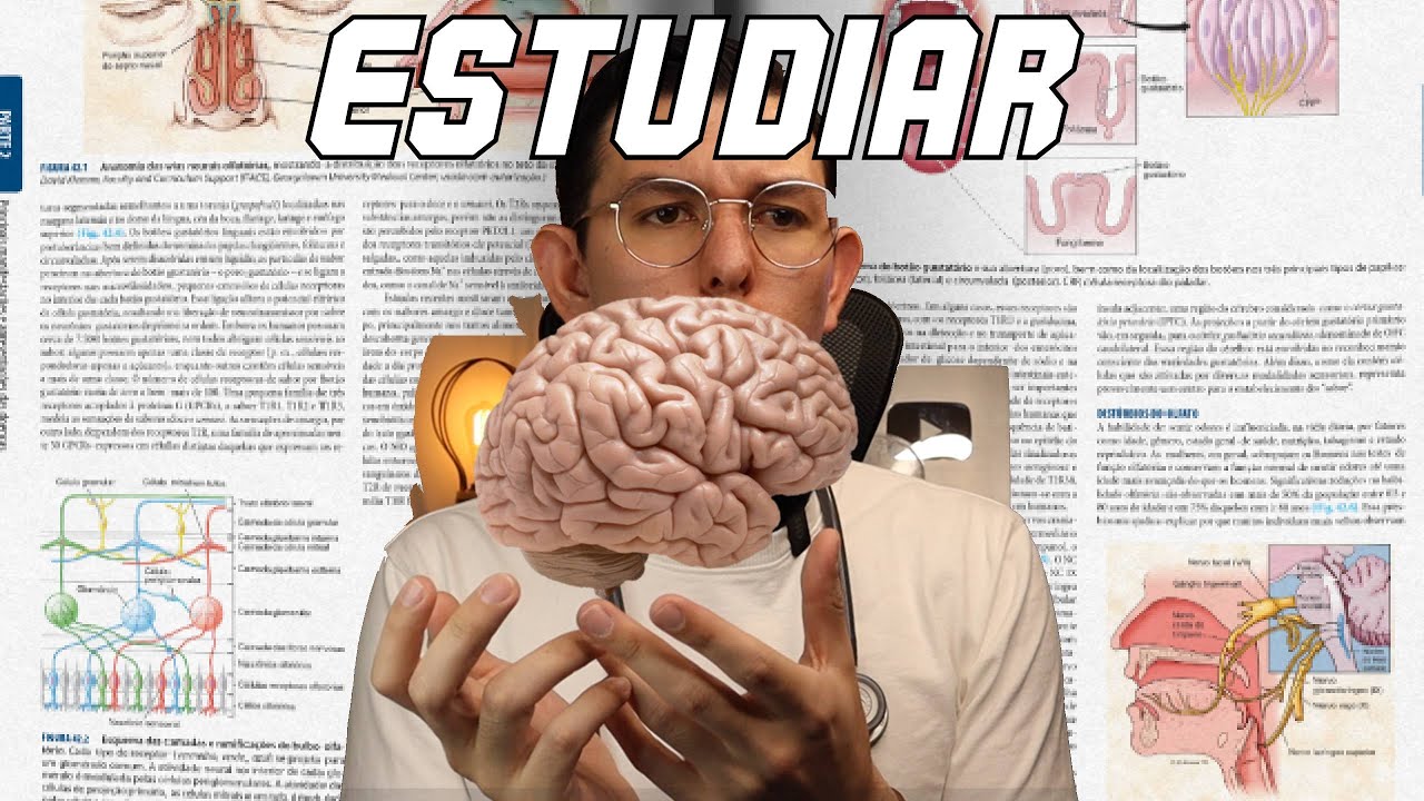 Métodos Efectivos de Estudio para tus Exámenes