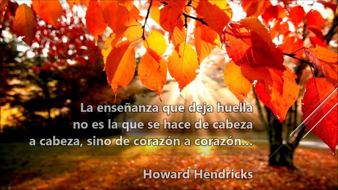 Objetivos vs. contenidos educativos