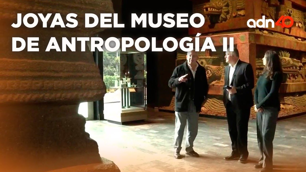 Oportunidades laborales en el Museo de Antropología