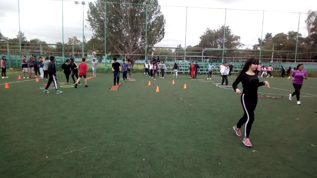 Perfil profesional del Colegio de Bachilleres 6