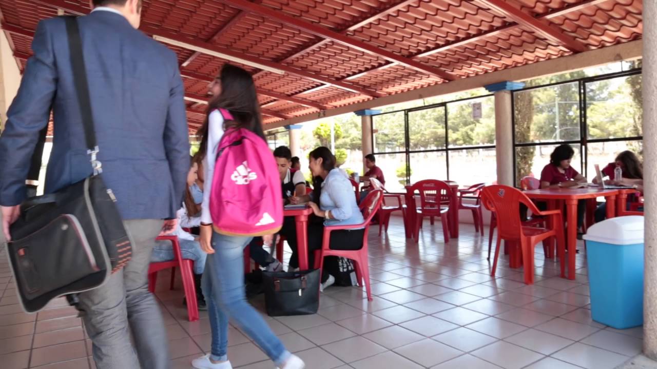 UVG Comitán: ¡descubre la universidad del valle!