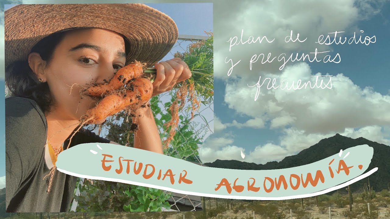 Ventajas y desventajas de estudiar Agronomía