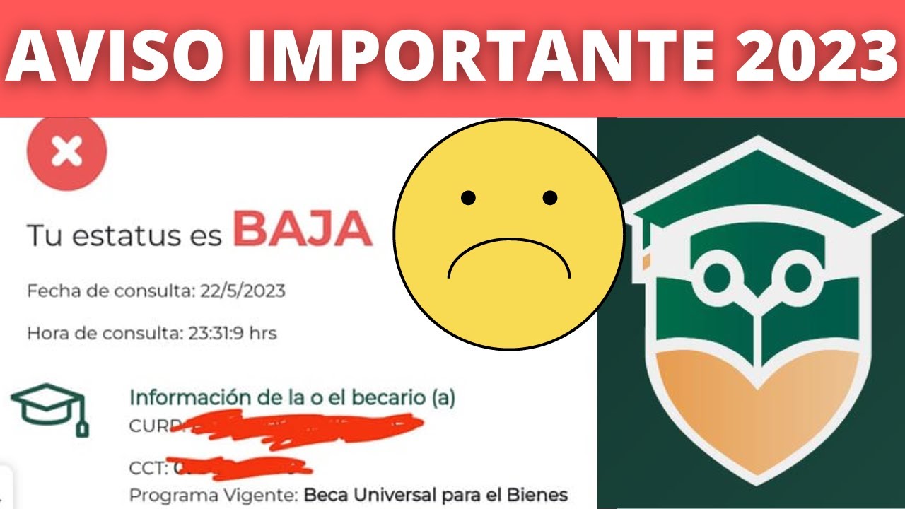 ¿Pierdo la beca si me doy de baja temporal?